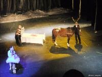 Staatstheater 2010 klein